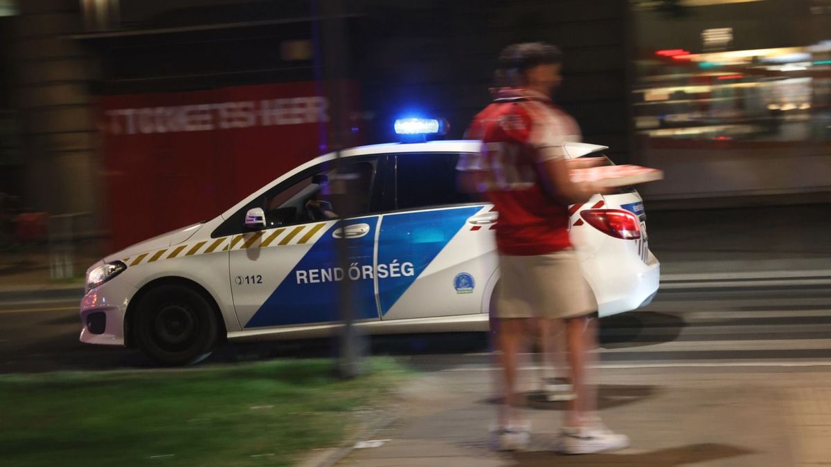 Részegen balhéztak egy füzesabonyi háznál, a kaput is megrongálták
