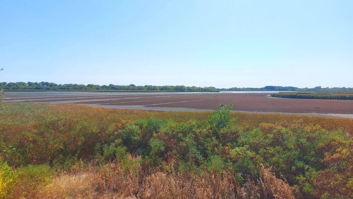 Siralmas látványt mutat a Tisza-tó az aszály után – fotókon, videón a kiszáradt meder