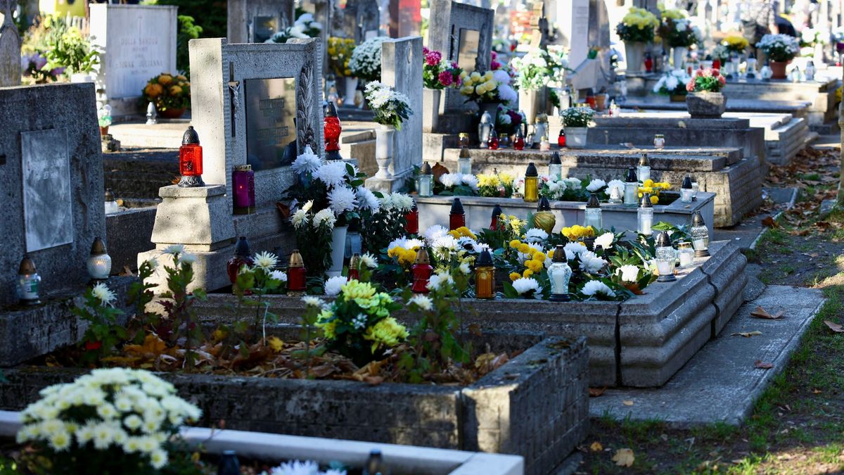 Váratlan újdonság Egerben: mostantól így találhatod meg szeretteid sírját a temetőkben