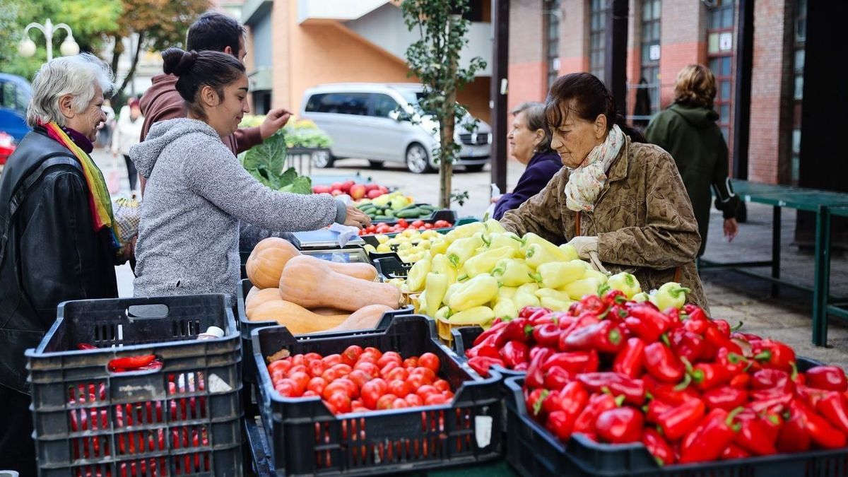 Mindenki ezt fogyasztja ősszel, mégis kevesen ismerik valódi előnyeit