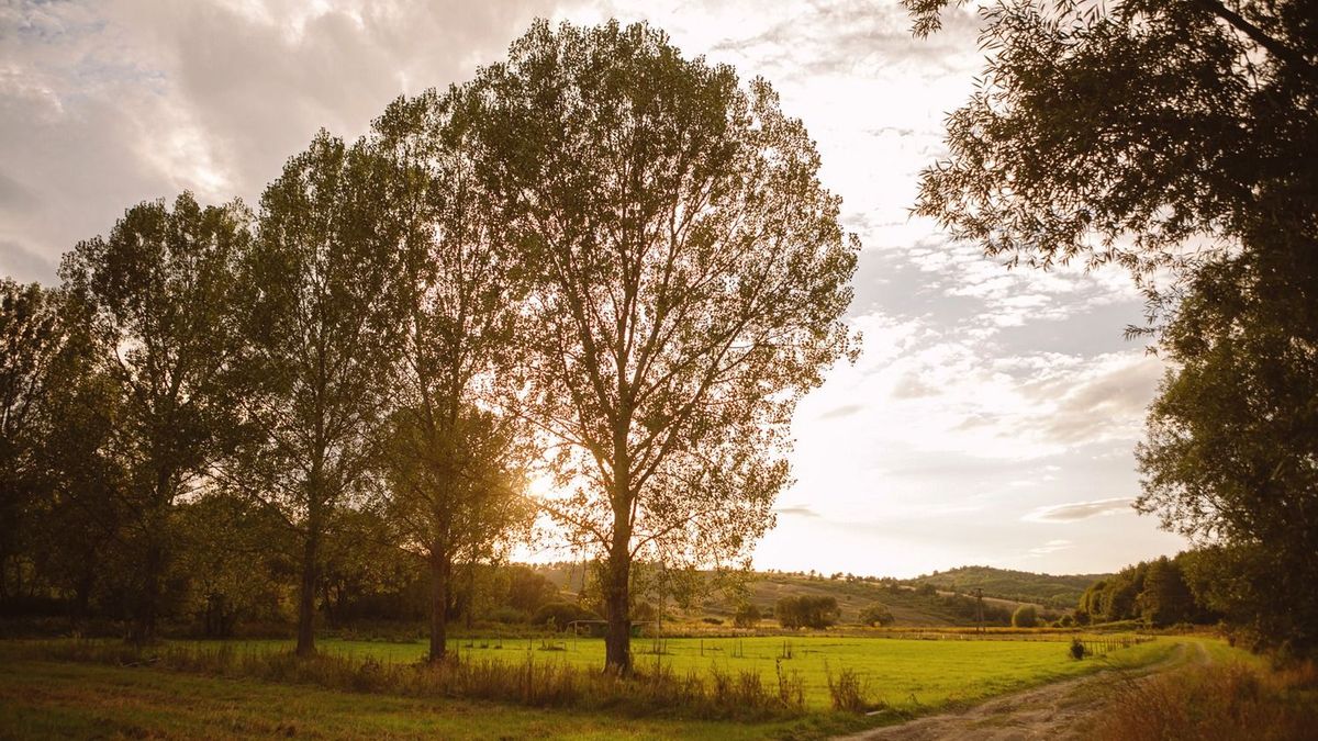 Mutatjuk, mire kell készülni kedden, az időjárás is beleszólhat a tervekbe