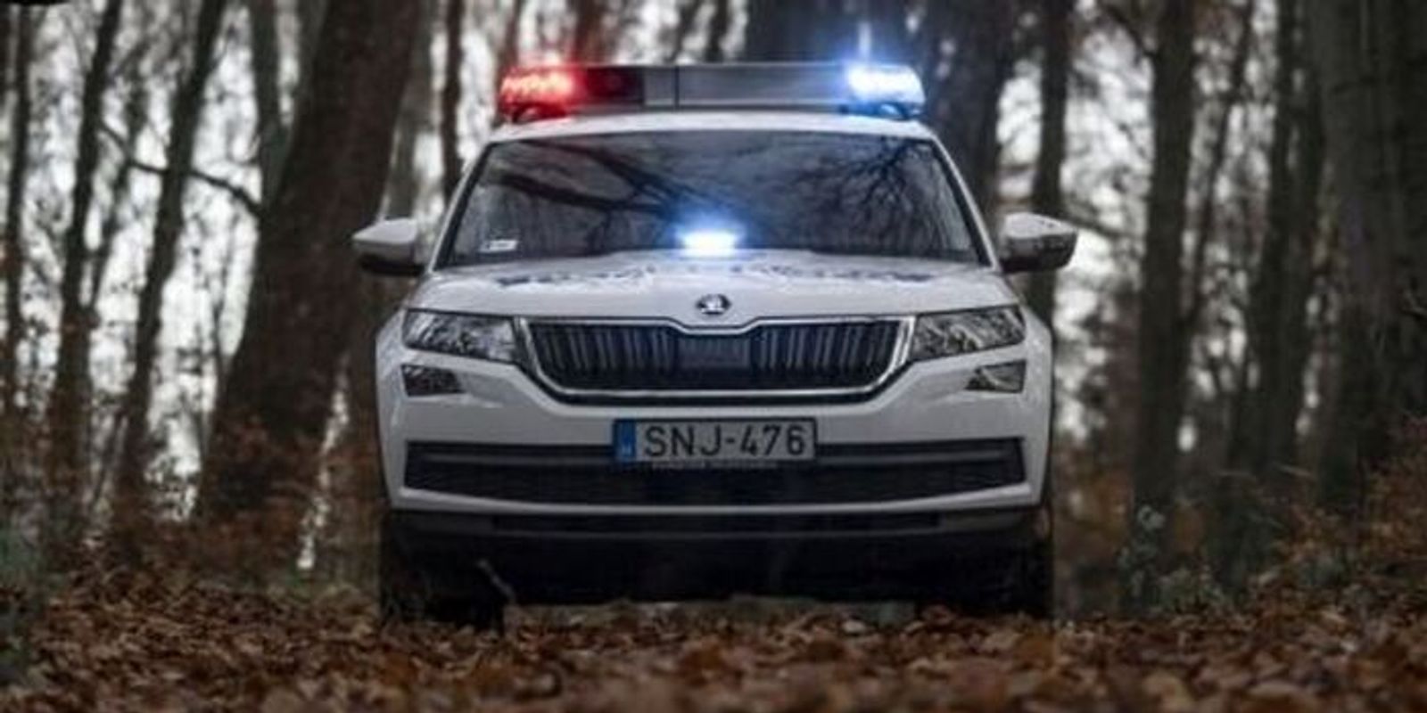 Sötét drogüzlet a hevesi faluban: Döbbenetes, mit rejtett anya és fia otthona
