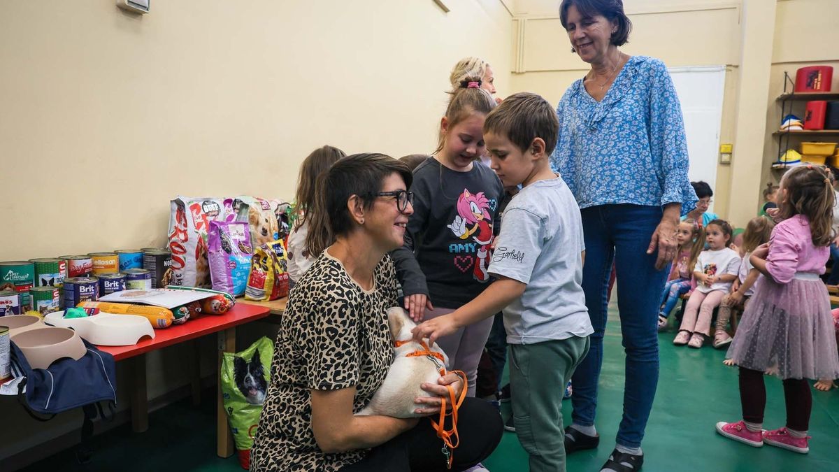 Ennél kedvesebbet ma már biztosan nem látsz: egy kutyus is megköszönte az egri ovisoknak, amit a menhelynek gyűjtöttek