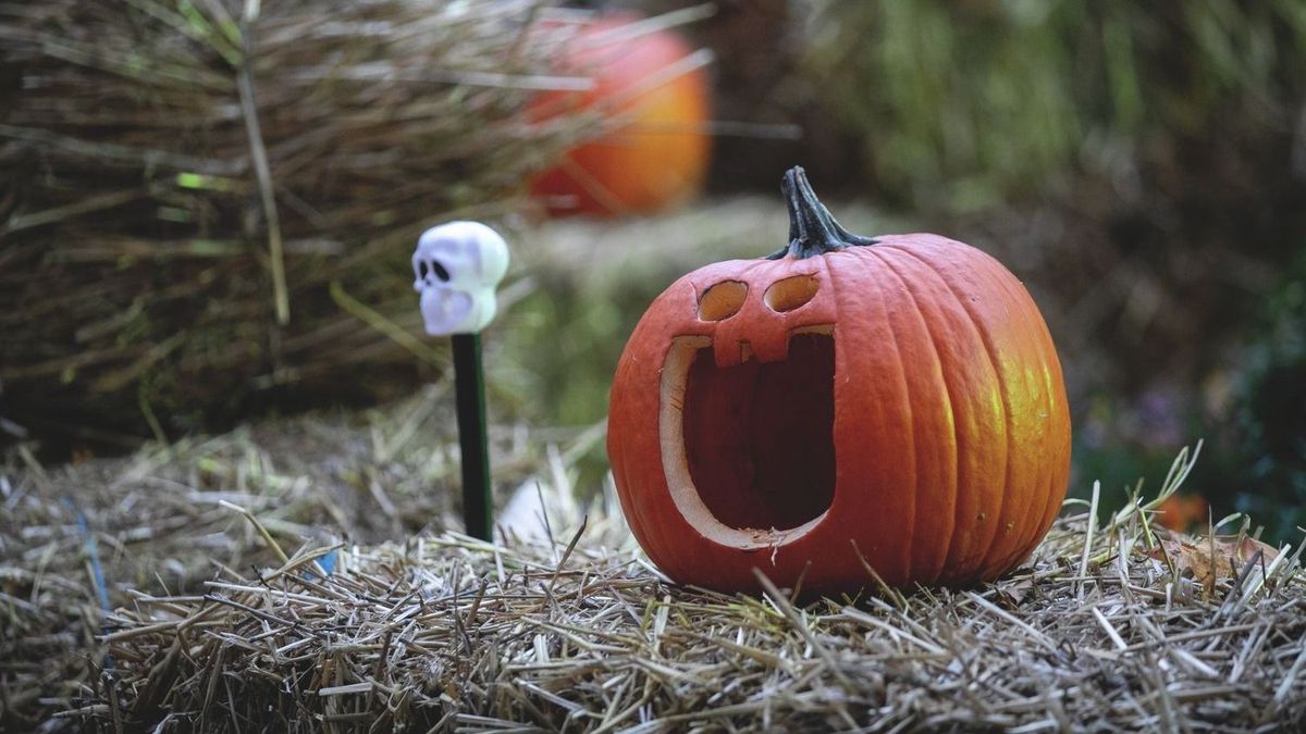 Nem kérnek a Halloweenből? Meglepő, mennyire megoszlik olvasóink véleménye az ünnepről
