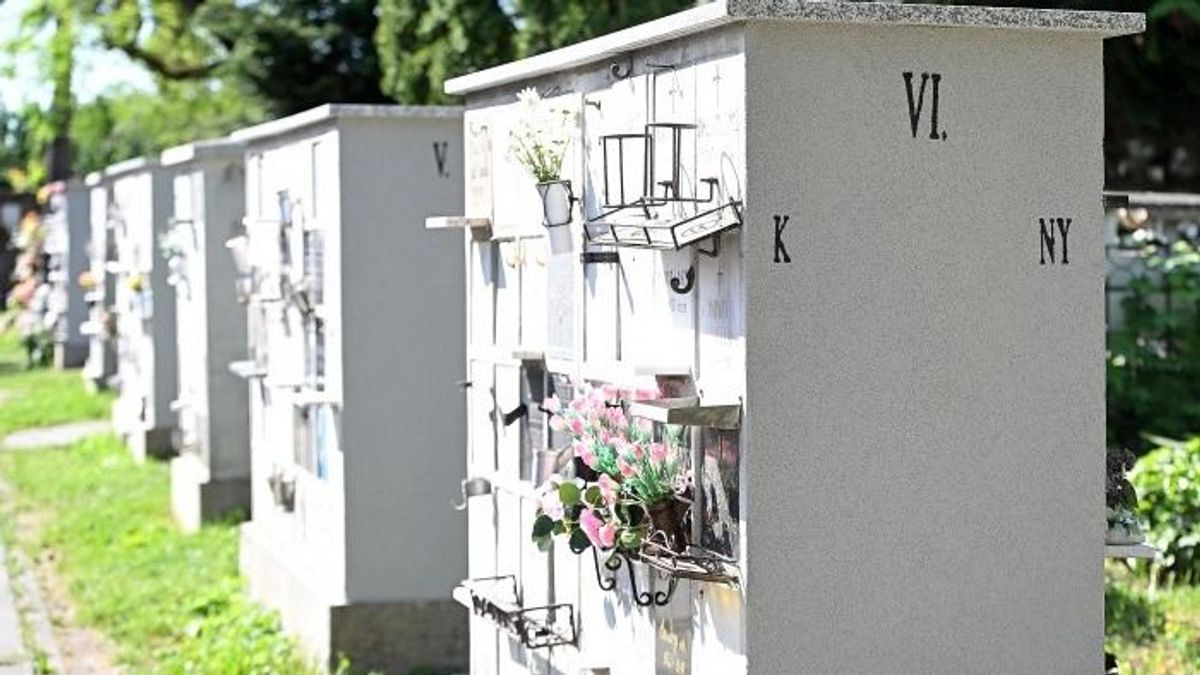 Mindenszentek Egerben: ezt jobb, ha tudod, mielőtt elindulsz a temetőbe!