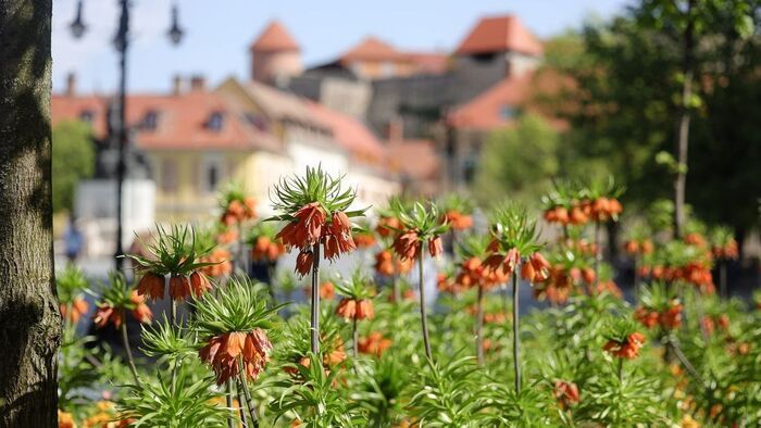 Rákattant az ország a hevesi városra: ki nem találnád, miért imádják most annyira!