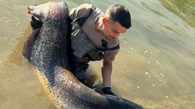 Pontyra várt, de valami egészen elképesztőt fogott a hevesi horgász – videón a felismerés pillanata!