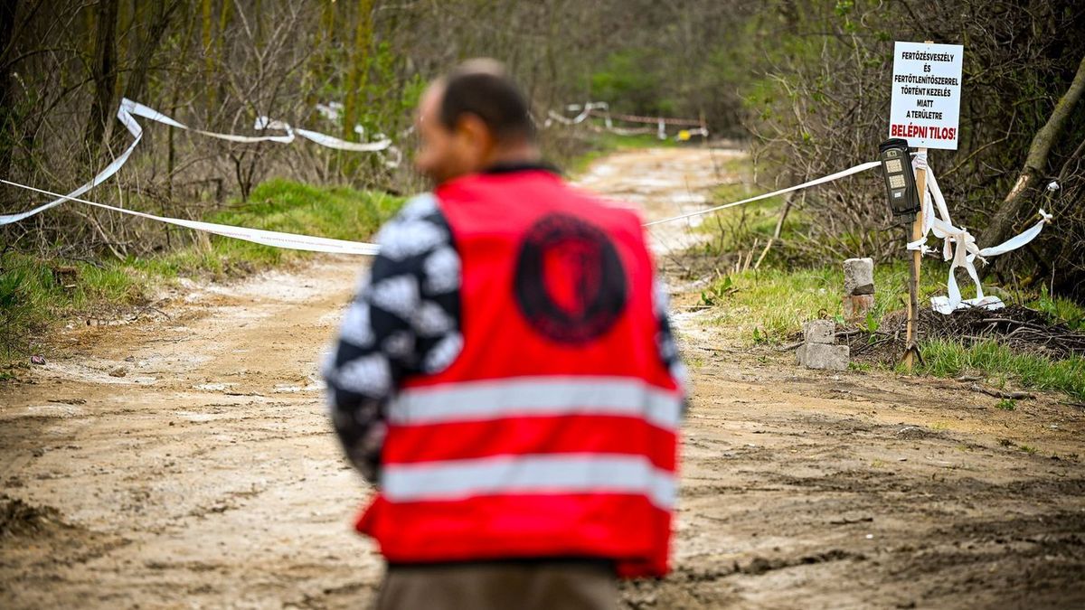 Gyorsan terjedő fertőzés miatt rendeltek el zárlatot: erre figyelmeztetnek a szakemberek