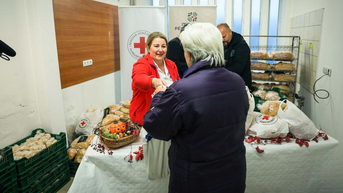 Százával osztották a friss kenyeret Egerben – le a kalappal a szívmelengető akció előtt!