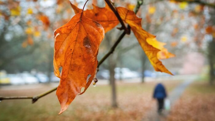 Trükkös időjárás jön hétfőn Hevesben: ezt jó, ha tudod, mielőtt elindulsz otthonról!