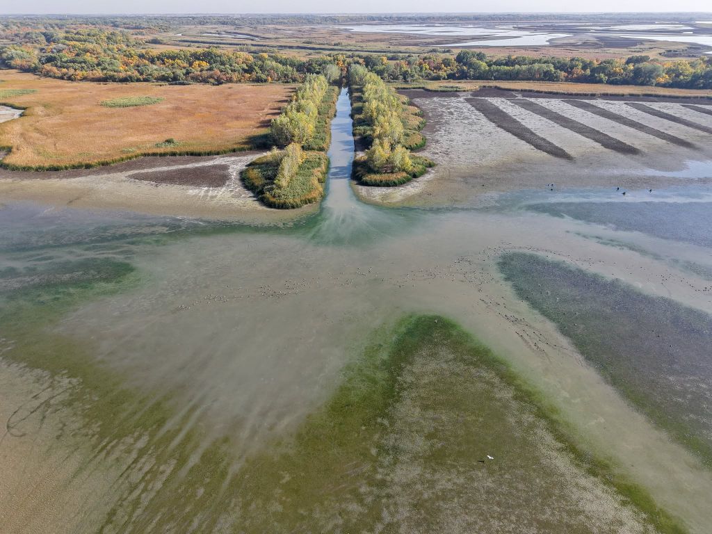 Lenyűgöző minták rajzolódnak ki a Tisza-tó medrében